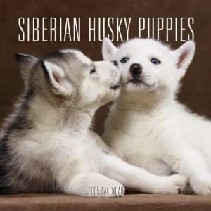  Siberian Husky Puppies 2005 Mini Wall Calendar 