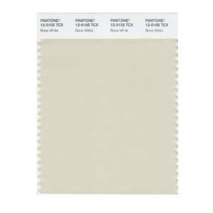   PANTONE SMART 12 0105X Color Swatch Card, Bone White: Home Improvement