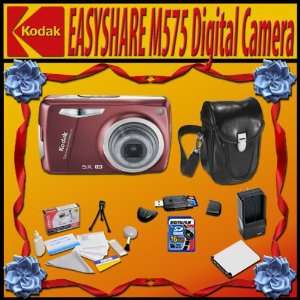   Free Memory Card, Case, Extra Batttery Pack + 1 Hour Rapid AC/DC