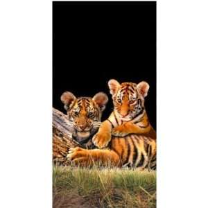  Bengal Tiger Cubs: Everything Else