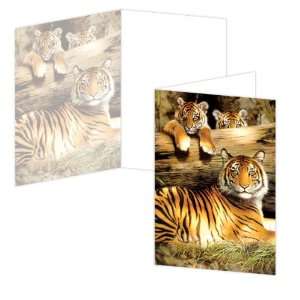  ECOeverywhere Quiet Fire Boxed Card Set, 12 Cards and 