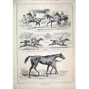  1884 Horse Racing Goodwood Cup St Simon Friday Print: Home 