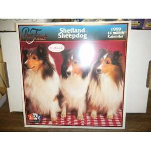   Shetland Sheepdog  Best Friends 1999 16mth Calendar: Everything Else