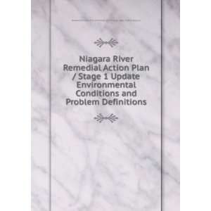  Niagara River Remedial Action Plan / Stage 1 Update 