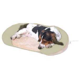 Thermo Bolster Bed for Pets   Warms to Normal Body Temp 