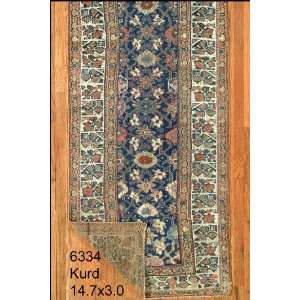  3x14 Hand Knotted Kurd Kurdistan Rug   30x147: Home 