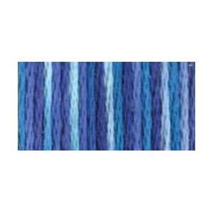   : Laguna Blue   Color Variations Floss (4237): Health & Personal Care