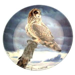  Wedgwood owl plate The Majesty of Owls Short Eared Owl 
