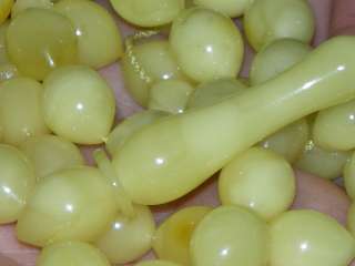 special edition butterscotch egg yolk amber islamic prayer beads 