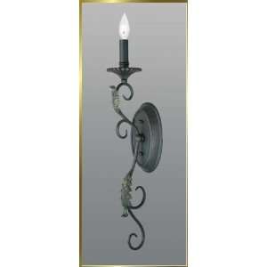 Wrought Iron Wall Sconce, JB 7314, 1 light, Wrought Iron, 4 wide X 27 