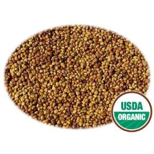  10 LBS Organic Clover Seeds: Health & Personal Care