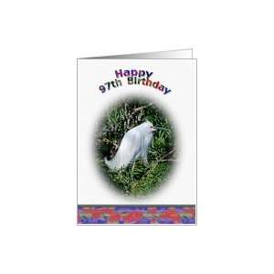  97th Birthday Card with Snowy Egret in Water Card: Toys 