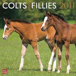  Colts & Fillies 2011 Wall Calendar: Office Products