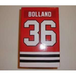  Dave Bolland SGA Chicago Blackhawks Bobblehead New In The 