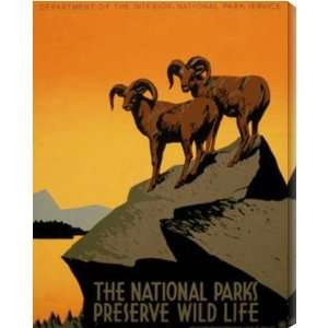  National Wildlife Preservation AZV00065 arcylic print 