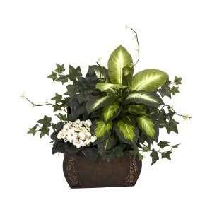 African Violet, Dieffenbachia and Ivy with Chest Silk Plant   Nearly 