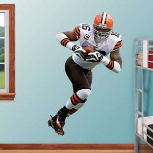  Josh Cribbs Fathead Wall Graphic   NFL: Sports & Outdoors