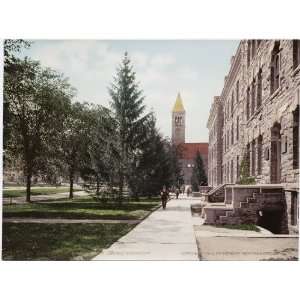   Morrill Hall and the Library, Cornell University 1900