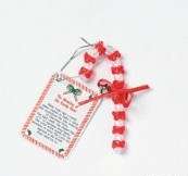 Christmas Meaning of Candy Cane Ornament Craft Kit Kids  