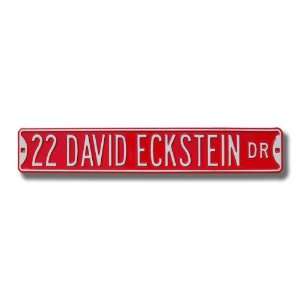 ST. LOUIS CARDINALS 22 DAVID ECKSTEIN DR Authentic METAL STREET SIGN 