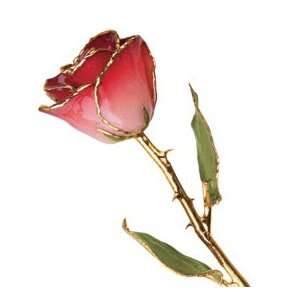 Long Stem Dipped 24K Gold Trim Pink & Burgundy Lacquered Genuine Rose 