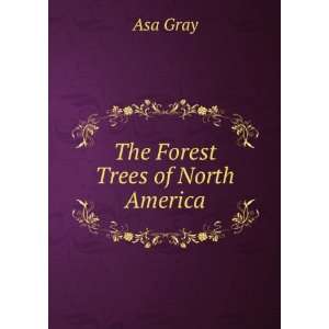  The Forest Trees of North America Asa Gray Books