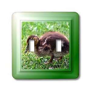 SmudgeArt Photography Art Designs   Goose Chick   Light Switch Covers 