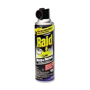  Raid® Wasp & Hornet Killer: Patio, Lawn & Garden