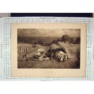  ANTIQUE PRINT NOON DAY REST FARMING HAYMAKING FIELD