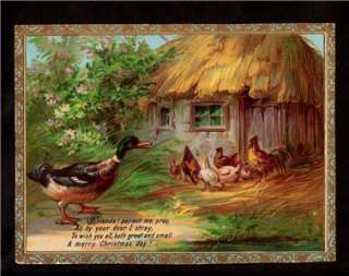 1900 mallard duck farm scene victorian christmas card  
