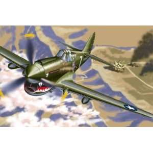  1/48 P40E Warhawk Flying Tigers Toys & Games