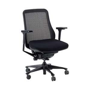  Eurotech Symbian Mesh Back Office Chair by Raynor: Office 