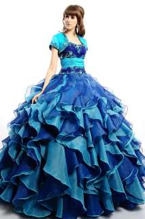   Amazing Embroidery Quinceanera/Prom/Evening dresses Ball Gowns All SZ