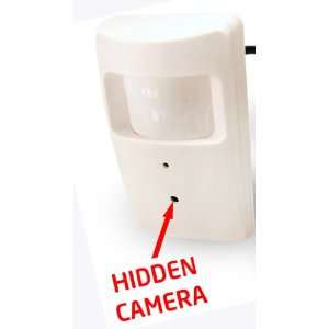  Security Camera   Hidden Color CCD PIR Camera Spy / Nanny Camera 