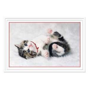   Christmas Card   Kitten And Cats Holiday Greeting Card: Pet Supplies