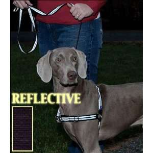   Walk Reflective Harness and Leash   M/L Tweener Black