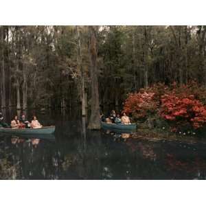 Tannic Acid from Old Trees Stains Water in Cypress Gardens Black 
