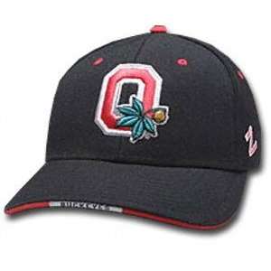   : Ohio State Buckeyes Zephyr Gamer Adjustable Hat: Sports & Outdoors