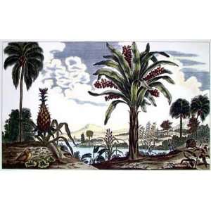 Tropical Paradise Poster Print