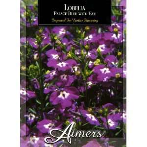  Aimers 3236 Lobelia Palace Blue With Eye * Seed Packet 