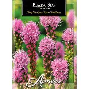   Aimers 3179 Blazing Star Torchlight Seed Packet Patio, Lawn & Garden