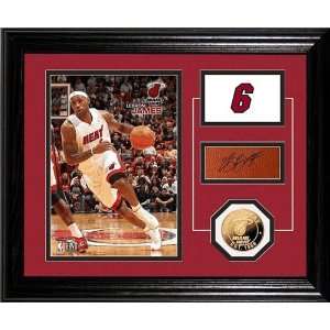   James Framed Miami Heat Player Pride Desk Top: Sports Collectibles