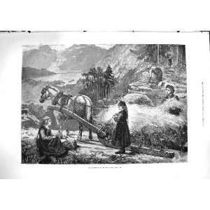  1881 Hay Harvest Norway Horse Cart Children Agriculture 