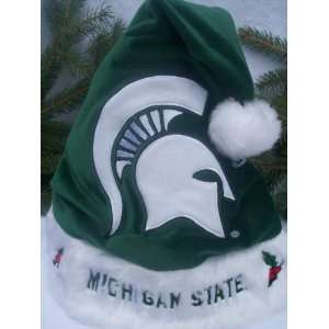   plush holly official NCAA Swoop Team logo Santa Hat: Everything Else