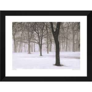   FRAMED Art 28x36 Snow On The Common, Vermont Home & Kitchen