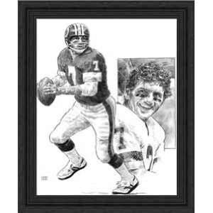  Framed Joe Theisman Washington Redskins: Sports & Outdoors