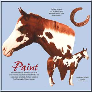 Paint Origin Horse Pony Horseshoe Shirt S 2X,3X,4X,5X  