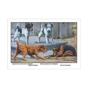  Fox Terrier 20x30 poster