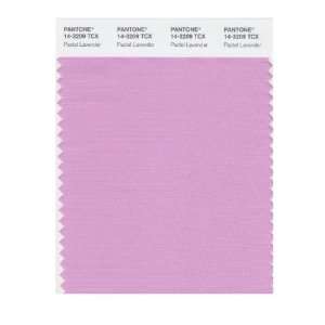   SMART 14 3209X Color Swatch Card, Pastel Lavender: Home Improvement