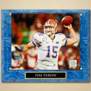 Florida Gators #15 Tim Tebow 2008 National Championship Game Passing 